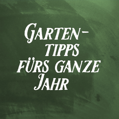 Garten-Tipps